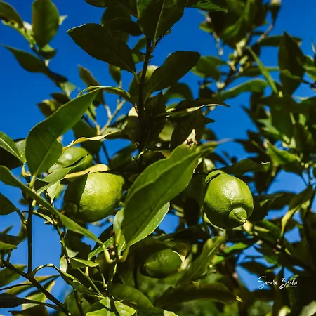 Nocleg ze śniadaniem Narciso Valbrona