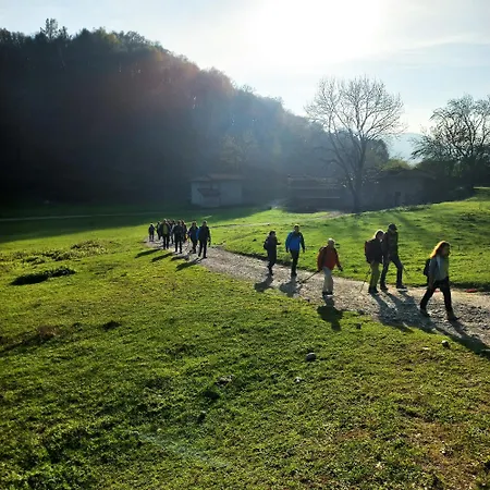 Nocleg ze śniadaniem Narciso 3*