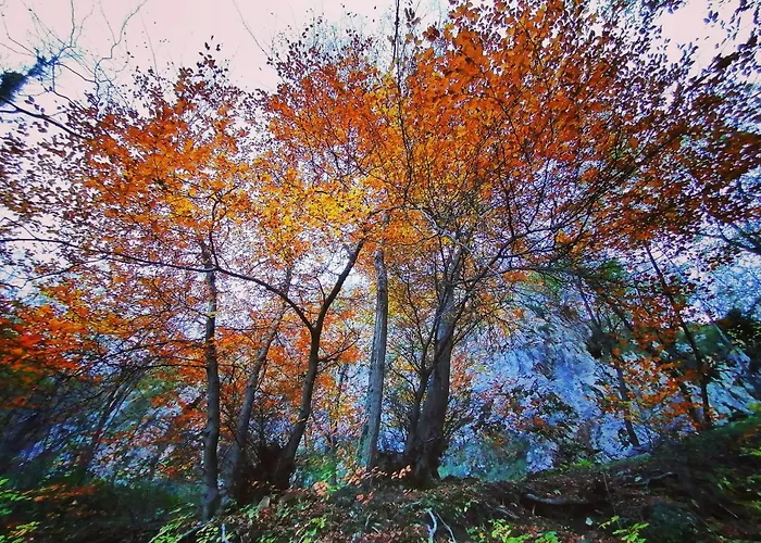 Narciso Вальброна